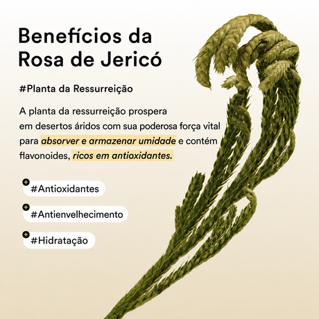 Máscara para os Olhos de Colágeno Vegano Abib | Antiolheiras